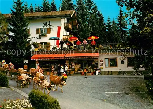 AK / Ansichtskarte Niederndorf_Kufstein Sommerfrische Rettenschoess Viehabtrieb Niederndorf_Kufstein