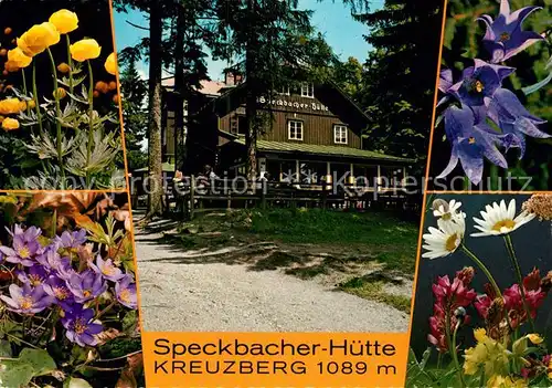 AK / Ansichtskarte Breitenstein_Niederoesterreich Speckbacher Huette Breitenstein