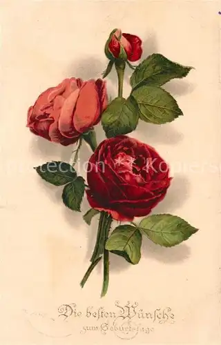 AK / Ansichtskarte Rosen Geburtstag Litho Rosen