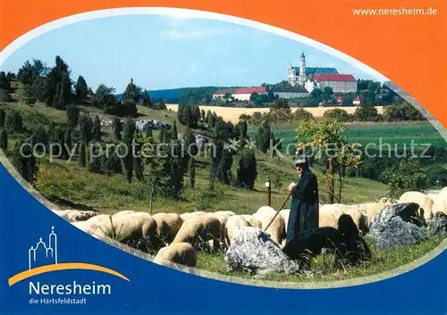 AK / Ansichtskarte Neresheim Haertsfeld Schafherde Hirte Neresheim