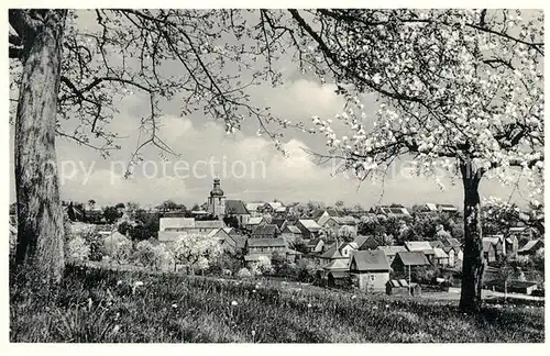 AK / Ansichtskarte Vielbrunn Ortsansicht Hoehenluftkurort mit Kirche Baumbluete Vielbrunn