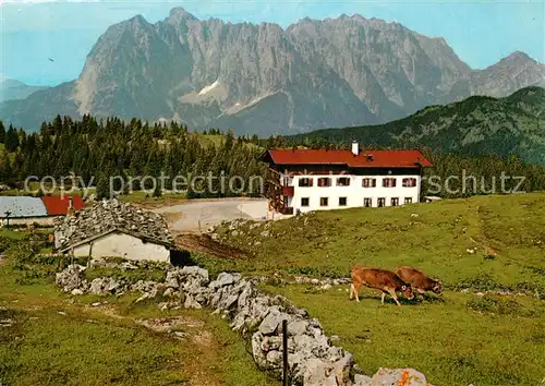 AK / Ansichtskarte Oberstdorf Straubingerhaus am Fellhorn Almvieh Kuehe Allgaeuer Alpen Oberstdorf