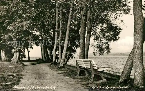 AK / Ansichtskarte Altenhof_Schorfheide Strandpromenade Altenhof Schorfheide