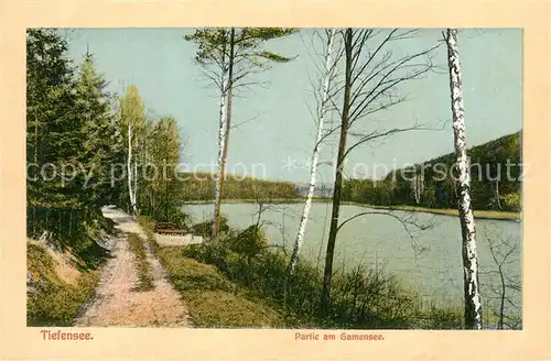 AK / Ansichtskarte Tiefensee_Bad_Freienwalde Partie am Gamensee Tiefensee_Bad_Freienwalde