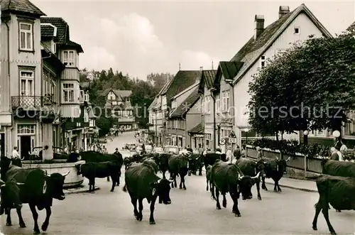 AK / Ansichtskarte Braunlage Die Damenkapelle Braunlage