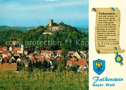 AK / Ansichtskarte Falkenstein_Oberpfalz Panorama Burg Falkenstein_Oberpfalz