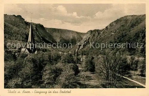 AK / Ansichtskarte Thale_Harz Eingang ins Bodetal Thale_Harz