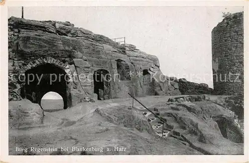 AK / Ansichtskarte Blankenburg_Harz Burg Regenstein Blankenburg_Harz