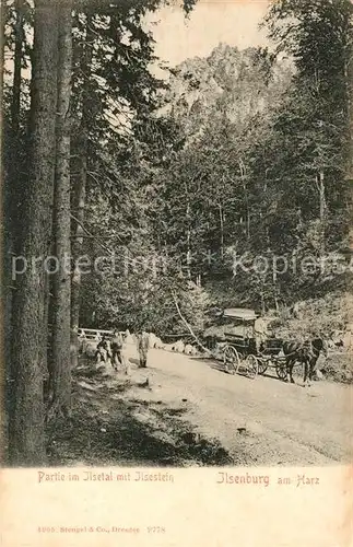 AK / Ansichtskarte Ilsenburg_Harz Partie im Ilsetal mit Ilsestein Ilsenburg Harz