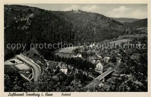 AK / Ansichtskarte Treseburg_Harz Bodetal Panorama Treseburg Harz