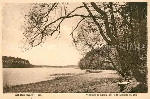 AK / Ansichtskarte Alt Buchhorst Moellenseepartie bei der Spiegelquelle Alt Buchhorst