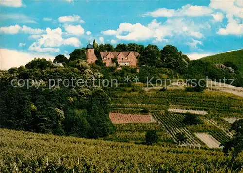 AK / Ansichtskarte St_Martin_Rheinpfalz Kropsburg St_Martin_Rheinpfalz