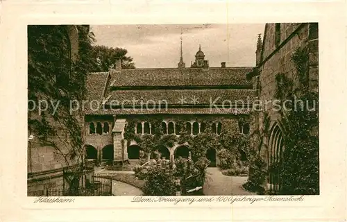 AK / Ansichtskarte Hildesheim Dom Kreuzgang und 1000jaehriger Rosenstock Hildesheim