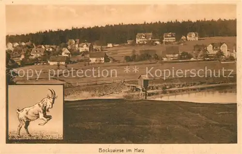 AK / Ansichtskarte Bockswiese Hahnenklee_Harz Panorama Bockswiese Hahnenklee