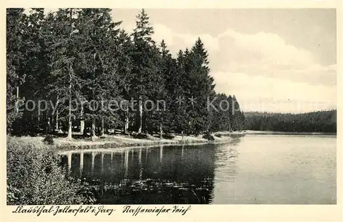 AK / Ansichtskarte Clausthal Zellerfeld Pfaffenwieser Teich Clausthal Zellerfeld