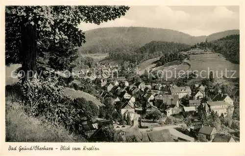 AK / Ansichtskarte Bad_Grund Blick vom Knollen Bad_Grund