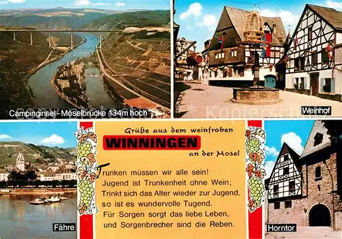 AK / Ansichtskarte Winningen_Mosel Fliegeraufnahme Campinginsel Moselbruecke Weinhot Horntor Faehre Winningen Mosel