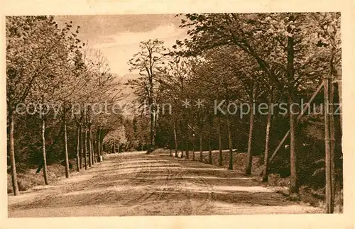 AK / Ansichtskarte Braunlage Auf der Neuen Harzburgerstrasse Braunlage