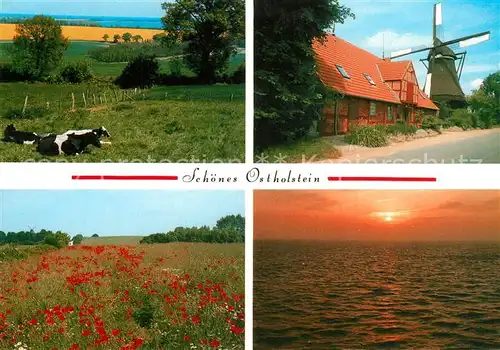 AK / Ansichtskarte Hohwacht_Ostseebad Landschaftspanorama Ostholstein Windmuehle Sonnenuntergang am Meer Mohnfelder Hohwacht_Ostseebad