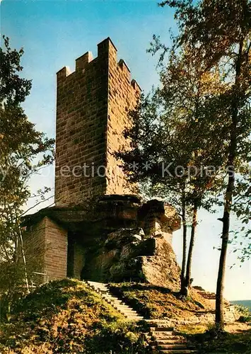 AK / Ansichtskarte Elmstein Burgruine Erfenstein Elmstein