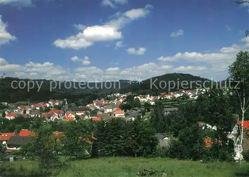 AK / Ansichtskarte Eppenbrunn Panorama Eppenbrunn