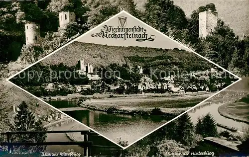 AK / Ansichtskarte Neckarsteinach Schwalbennest Hinterburg Mittelburg Panorama Neckarsteinach