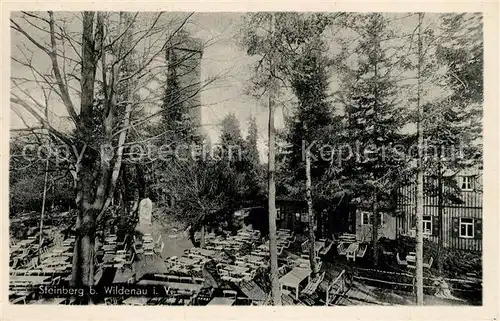 AK / Ansichtskarte Steinberg_Vogtland Gartenwirtschaft Aussichtsturm Steinberg_Vogtland