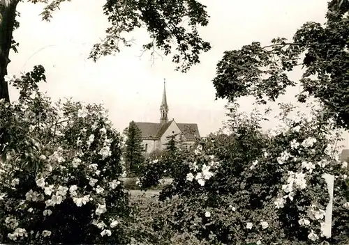 AK / Ansichtskarte Loccum Klosterkirche Loccum