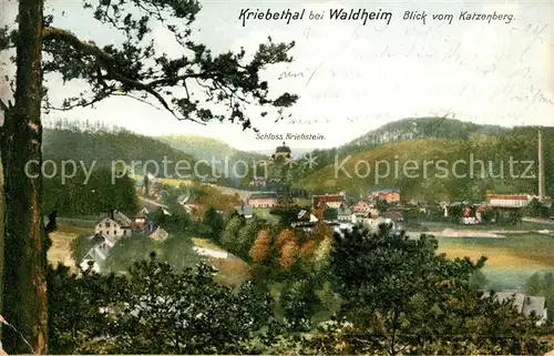 AK / Ansichtskarte Kriebethal_Kriebstein Blick vom Katzenberg Kriebethal_Kriebstein