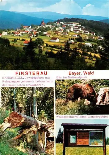 AK / Ansichtskarte Finsterau_Bayerischer_Wald Baernriegel Urwaldgebiet mit Felsgruppen Braunbaer Hinweistafel Finsterau_Bayerischer