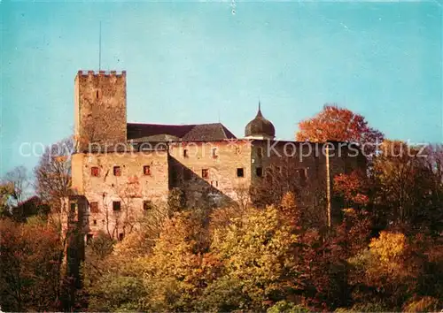 AK / Ansichtskarte Falkenstein_Oberpfalz Burg Falkenstein_Oberpfalz