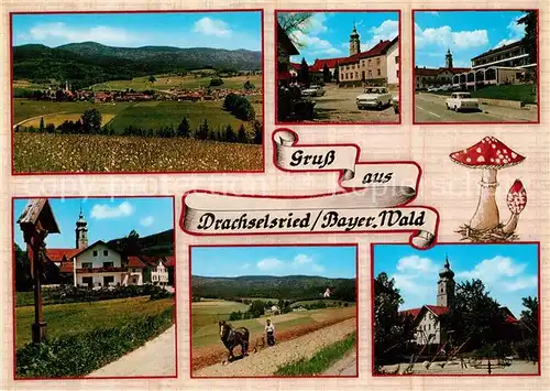 AK / Ansichtskarte Drachselsried Panorama Kirche Hotel Wegekreuz Pferdepflug Drachselsried