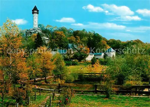 AK / Ansichtskarte Kempfeld Wildenburg mit Wildfreigehege Kempfeld