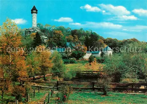 AK / Ansichtskarte Kempfeld Wildenburg mit Wildfreigehege Kempfeld