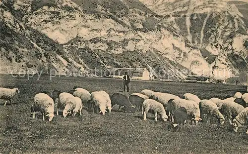 AK / Ansichtskarte Bigorre_Hautes_Pyrenees_Region Schafherde Bigorre_Hautes