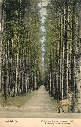 AK / Ansichtskarte Woerishofen_Bad Dorschhauser Wald Erzherzog Josef Promenade Woerishofen_Bad