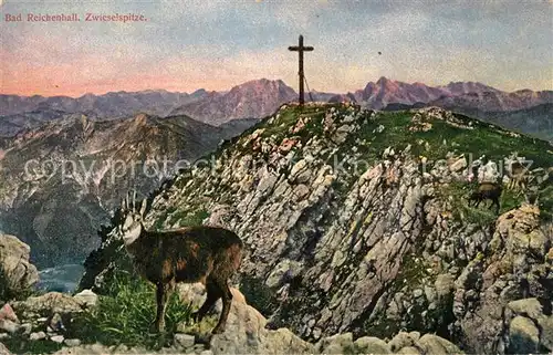 AK / Ansichtskarte Bad_Reichenhall Zwieselspitze Gipfelkreuz  Bad_Reichenhall