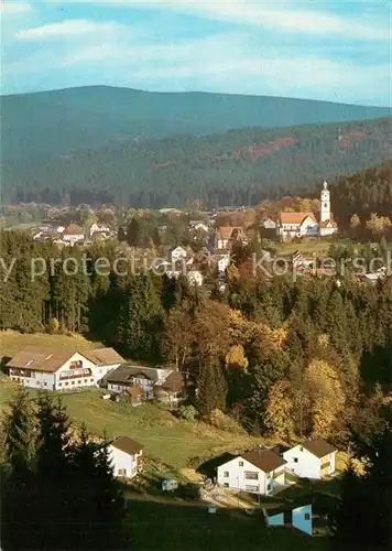 AK / Ansichtskarte Bayerisch_Eisenstein Panorama Bayerisch_Eisenstein