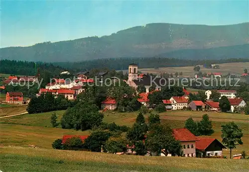 AK / Ansichtskarte Neureichenau Panorama Neureichenau