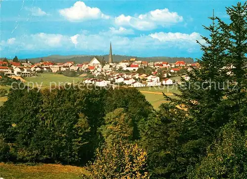 AK / Ansichtskarte Wegscheid_Niederbayern Panorama Wegscheid Niederbayern