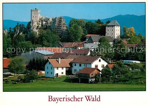 AK / Ansichtskarte Regen Burgruine Weissenstein Museum Fressendes Haus Regen