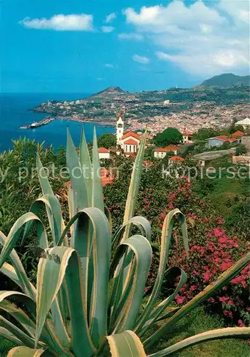 AK / Ansichtskarte Funchal Stadtblick Funchal