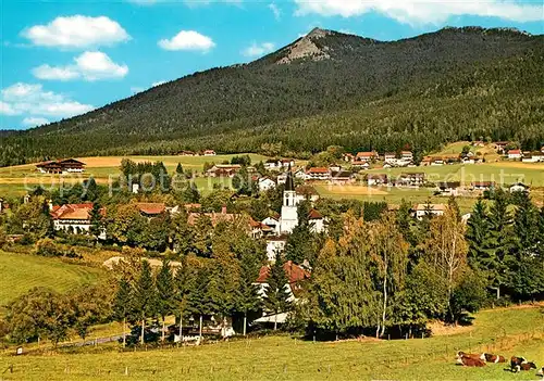 AK / Ansichtskarte Lohberg_Lam Panorama Lohberg_Lam