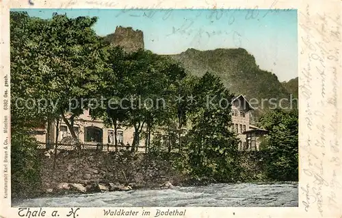 AK / Ansichtskarte Thale_Harz Gaststaette Waldkater im Bodetal Thale_Harz