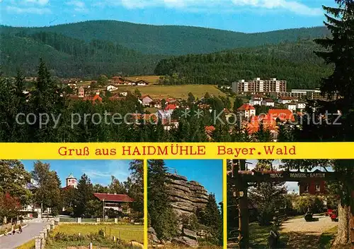 AK / Ansichtskarte Haidmuehle Panorama Ortsansichten Haidmuehle