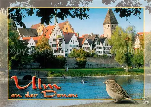 AK / Ansichtskarte Ulm_Donau Stadtpanorama Ulm_Donau