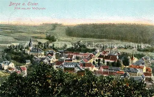 AK / Ansichtskarte Berga_Elster Blick von Wolfsgrube Berga_Elster