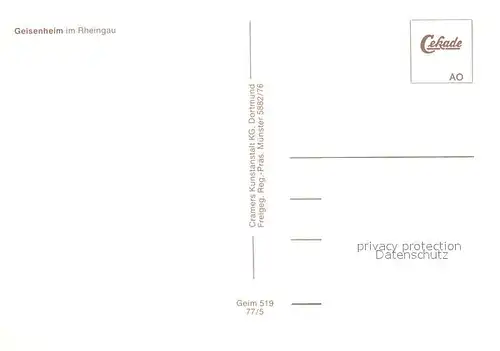 AK / Ansichtskarte Geisenheim Fliegeraufnahme Geisenheim