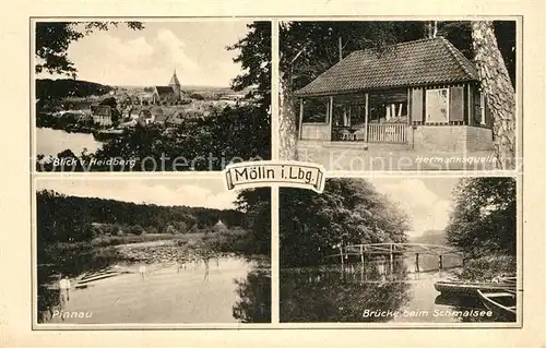 AK / Ansichtskarte Moelln_Lauenburg Blick vom Heidberg Hermannsquelle Pinnau Bruecke Schmalsee Moelln_Lauenburg