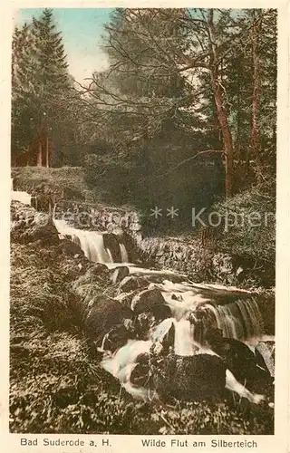 AK / Ansichtskarte Bad_Suderode Wilde Flut am Silberteich Bad_Suderode